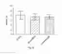 Fig. 09 - COMPOSITION FOR THE CLEANING AND PROTECTION OF TECHNICAL SURFACES