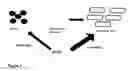 Fig. 02 - Compositions comprising a germinant and an antimicrobial agent