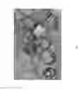 Fig. 08 - METHOD FOR ACCELERATING FREEZE DRYING PRODUCE USING MICROWAVE ENERGY