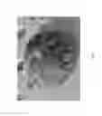 Fig. 09 - METHOD FOR ACCELERATING FREEZE DRYING PRODUCE USING MICROWAVE ENERGY