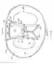 Fig. 02 - Undergarment with support structure