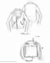 Fig. 05 - Convertible jacket and bag