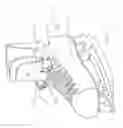 Fig. 04 - SKATE