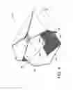 Fig. 05 - BAG WITH MULTIPLE ACCESS POINTS