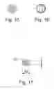 Fig. 04 - Oral Care Applicator
