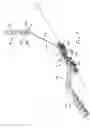 Fig. 08 - Support Device Adjustable by an Electric Motor