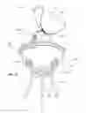 Fig. 13 - CHARCOAL GRILLING APPARATUS AND METHODS