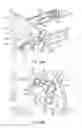Fig. 31 - Systems and methods for unobstructed visualization and ablation