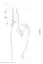 Fig. 02 - DENTAL DEVICE