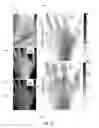 Fig. 13 - Structured-light imaging systems and methods for determining sub-diffuse scattering parameters