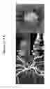 Fig. 14 - QUANTIFICATION OF LOCAL CIRCULATION WITH OCT ANGIOGRAPHY