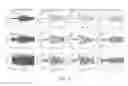 Fig. 15 - Magnetoencephalography source imaging for neurological functionality characterizations