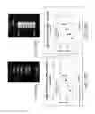 Fig. 51 - MR spectroscopy system and method for diagnosing painful and non-painful intervertebral discs