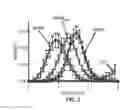 Fig. 05 - Diffusion reproducibility evaluation and measurement (DREAM)-MRI imaging methods