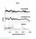 Fig. 02 - QUANTIFYING NEUTROPHIL CONCENTRATION IN BLOOD