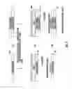 Fig. 07 - Microneedle array device and method of making