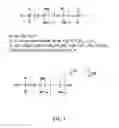 Fig. 02 - Film for biosensors and preparation method