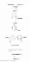 Fig. 05 - Film for biosensors and preparation method