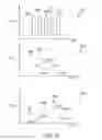 Fig. 23 - Spinal cord stimulation guidance system and method of use