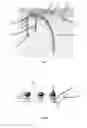 Fig. 05 - HEADSET FOR BIO-SIGNALS ACQUISITION