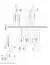 Fig. 07 - ELECTROENCEPHALOGRAM INTERFACE SYSTEM