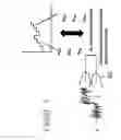 Fig. 09 - X-ray imaging apparatus and methods