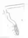 Fig. 04 - Diagnostic and imaging direction based on anatomical and/or physiological parameters