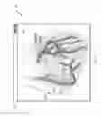 Fig. 06 - Diagnostic and imaging direction based on anatomical and/or physiological parameters