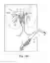 Fig. 25 - Tissue anchor