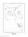 Fig. 52 - Tissue anchor