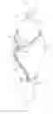 Fig. 01 - DEVICE FOR ASSISTING INFANT LATCH DURING AND AFTER BREASTFEEDING