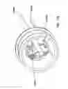 Fig. 34 - Natural orifice surgery system