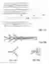 Fig. 15 - Bone implants for the treatment of infection