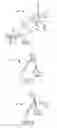Fig. 02 - Anatomical thermal sensing device and method