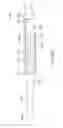 Fig. 24 - Methods and apparatus for electrosurgical illumination and sensing