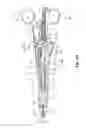 Fig. 11 - Bipolar surgical instrument