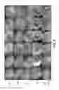 Fig. 09 - Nanoelectroablation control and vaccination