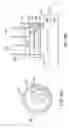 Fig. 10 - Apparatus and methods for the treatment of tissue using microwave energy