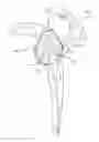 Fig. 01 - Methods for patient-specific shoulder arthroplasty