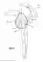 Fig. 02 - Methods for patient-specific shoulder arthroplasty
