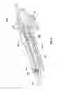 Fig. 07 - Multi-function mounting interface for an image-guided robotic system and quick release interventional toolset
