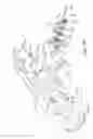 Fig. 17 - Compact counter balanced arms