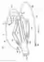 Fig. 06 - Robotic devices and systems for performing single incision procedures and natural orifice translumenal endoscopic surgical procedures, and methods of configuring robotic devices and systems