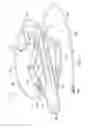 Fig. 06 - Robotic devices and systems for performing single incision procedures and natural orifice translumenal endoscopic surgical procedures, and methods of configuring robotic devices and systems