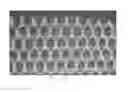 Fig. 01 - Prosthetic porous knit