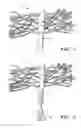 Fig. 02 - Vascular casted prostheses and methods of forming same for treating biological tissue