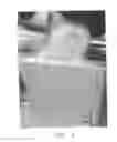 Fig. 09 - Vascular casted prostheses and methods of forming same for treating biological tissue