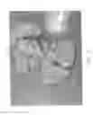 Fig. 06 - Vascular casted prostheses and methods of forming same for treating biological tissue