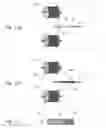 Fig. 10 - Graft devices and methods of fabrication
