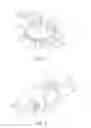 Fig. 02 - Foldable intraocular lens and method of making